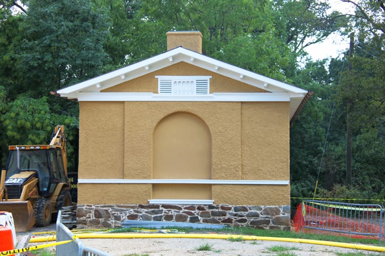 Uprawa cukinii i dyni — proste warzywa z dobrymi plonami