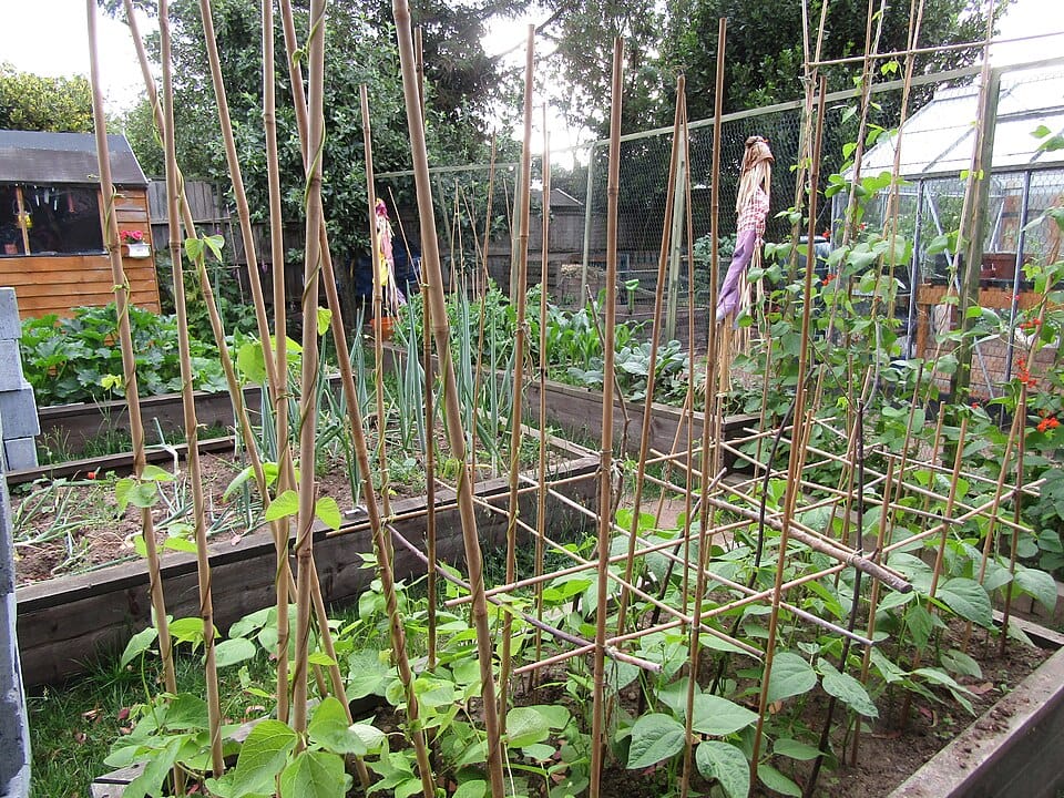 Skalniaki ogrodowe — jak je zaprojektować i posadzić