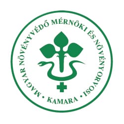 Ochrona roślin przed mrozem — co i kiedy zabezpieczyć